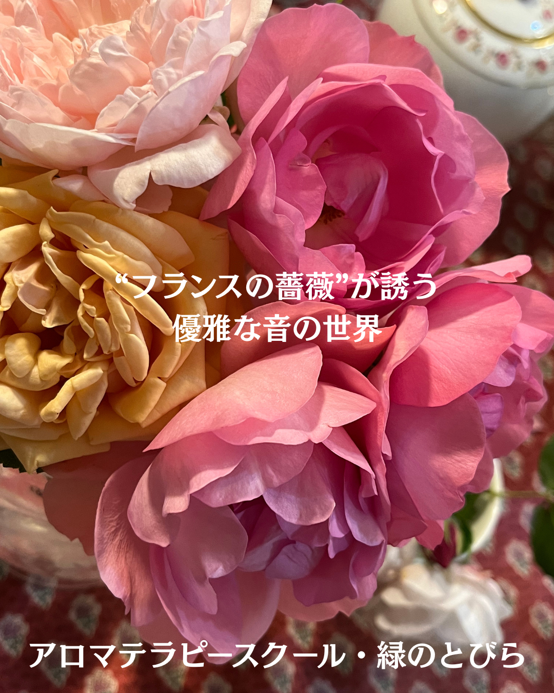 #アロマテラピースクール #緑のとびら #アロマライフコーチング #Rosypath #プランツカウンセリングヒーラー #ローズセラピー #オンラインレッスン #魔法の庭のヒーリング #愛と癒し #ローズヒーリングセッション #ボタニカルカウンセリング #無償の愛 #薔薇 #バラ #心穏やか #天寿を全う #メディカルハーブ #アロマテラピー #メディカルアロマ #アロマ #愛と癒し #ローズ
