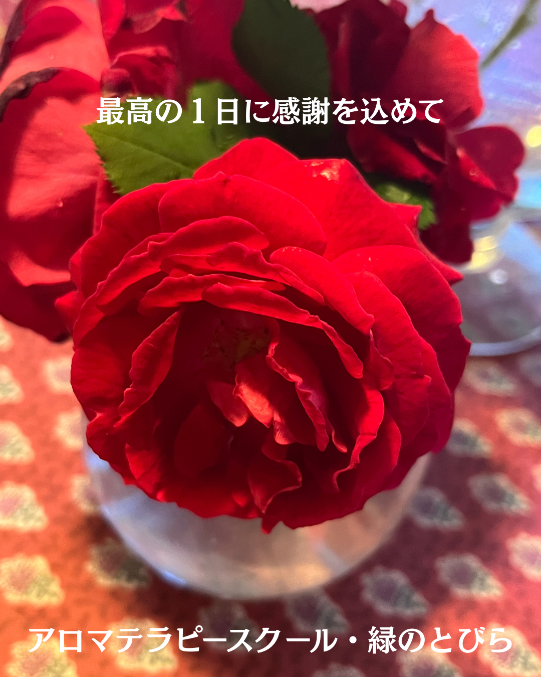 #アロマテラピースクール #緑のとびら #アロマライフコーチング #Rosypath #プランツカウンセリングヒーラー #ローズセラピー #オンラインレッスン #魔法の庭のヒーリング #愛と癒し #ローズヒーリングセッション #ボタニカルカウンセリング #無償の愛 #薔薇 #バラ #心穏やか #天寿を全う #メディカルハーブ #アロマテラピー #メディカルアロマ #アロマ #愛と癒し #ローズ