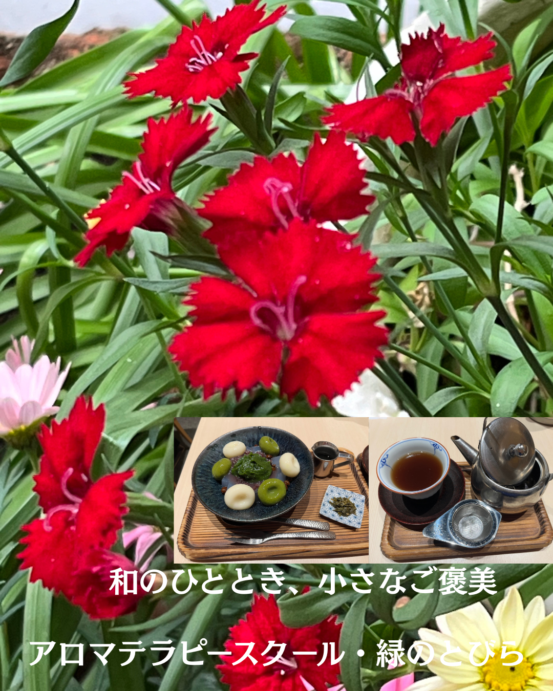 #アロマテラピースクール #緑のとびら #アロマライフコーチング #Rosypath #プランツカウンセリングヒーラー #ローズセラピー #オンラインレッスン #魔法の庭のヒーリング #愛と癒し #ローズヒーリングセッション #ボタニカルカウンセリング #無償の愛 #薔薇 #バラ #心穏やか #天寿を全う #メディカルハーブ #アロマテラピー #メディカルアロマ #アロマ #愛と癒し #ローズ