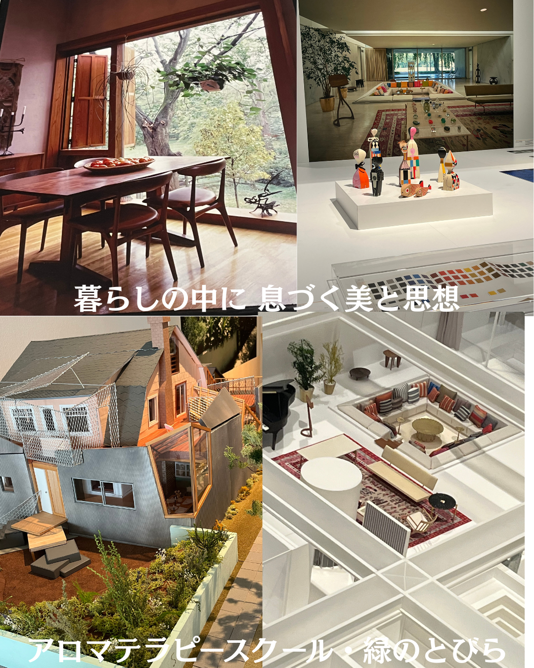 #アロマテラピースクール #緑のとびら #アロマライフコーチング #Rosypath #プランツカウンセリングヒーラー #ローズセラピー #オンラインレッスン #魔法の庭のヒーリング #愛と癒し #ローズヒーリングセッション #ボタニカルカウンセリング #無償の愛 #薔薇 #バラ #心穏やか #天寿を全う #メディカルハーブ #アロマテラピー #メディカルアロマ #アロマ #愛と癒し #ローズ