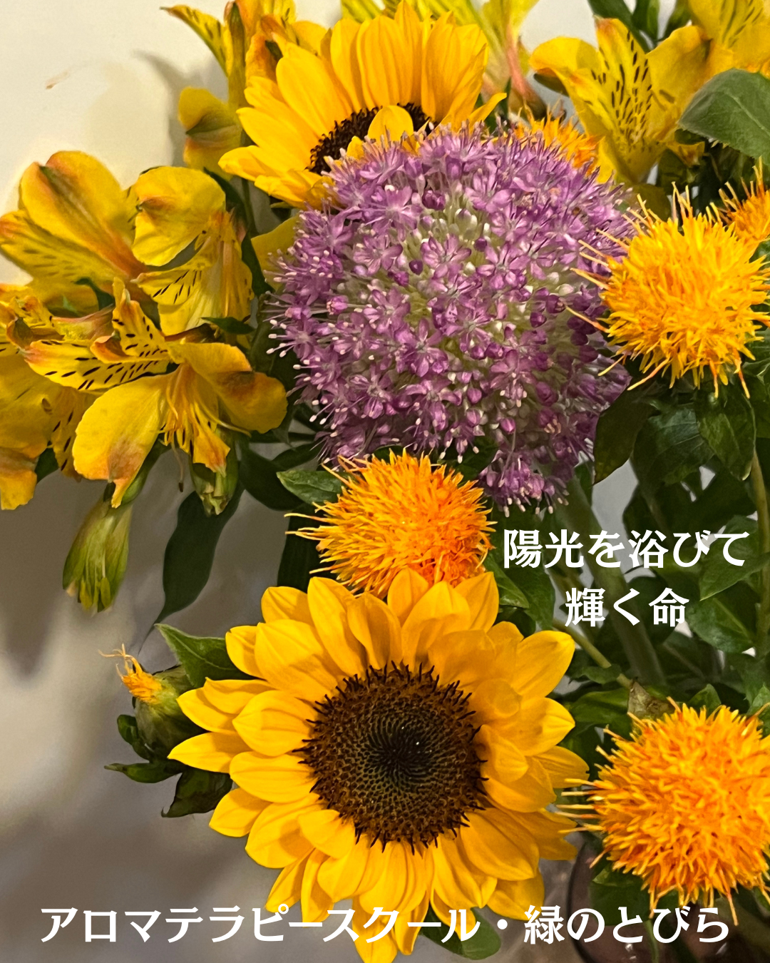 #アロマテラピースクール #緑のとびら #アロマライフコーチング #RosyPath #プランツカウンセリングヒーラー #ローズセラピー #オンラインレッスン #魔法の庭 #愛と癒し #ローズヒーリングセッション #ボタニカルカウンセリング #無償の愛 #薔薇 #バラ #心穏やか #天寿を全う #メディカルハーブ #アロマテラピー #メディカルアロマ #アロマ #愛と癒し #ローズ