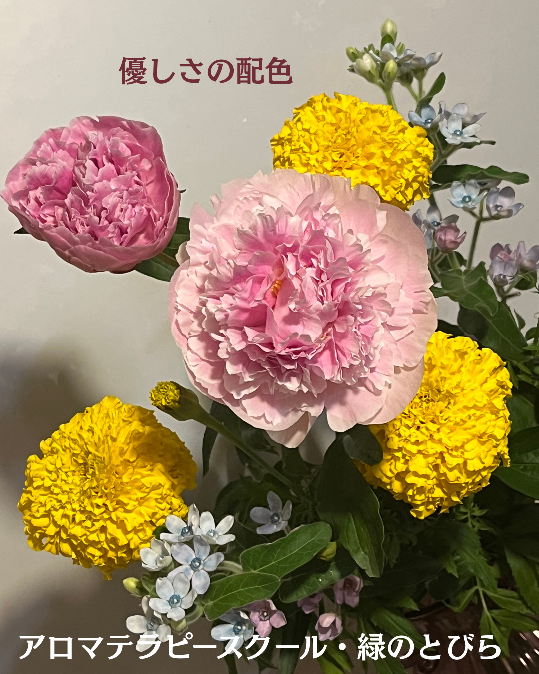 #アロマテラピースクール #緑のとびら #アロマライフコーチング #RosyPath #プランツカウンセリングヒーラー #ローズセラピー #オンラインレッスン #魔法の庭 #愛と癒し #ローズヒーリングセッション #ボタニカルカウンセリング #無償の愛 #薔薇 #バラ #心穏やか #天寿を全う #メディカルハーブ #アロマテラピー #メディカルアロマ #アロマ #愛と癒し #ローズ