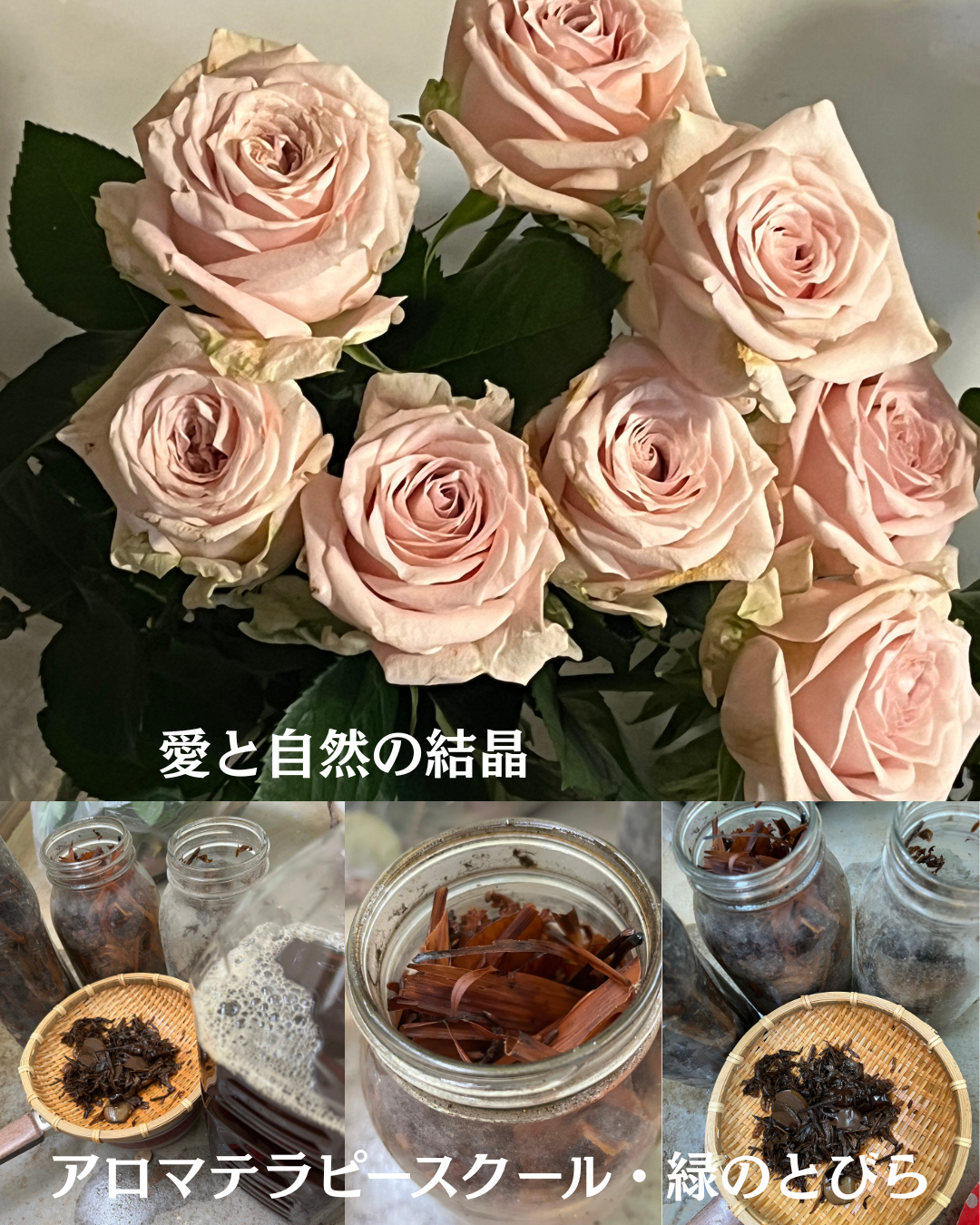 #アロマテラピースクール #緑のとびら #アロマライフコーチング #RosyPath #プランツカウンセリングヒーラー #ローズセラピー #オンラインレッスン #魔法の庭 #愛と癒し #ローズヒーリングセッション #ボタニカルカウンセリング #無償の愛 #薔薇 #バラ #心穏やか #天寿を全う #メディカルハーブ #アロマテラピー #メディカルアロマ #アロマ #愛と癒し #ローズ