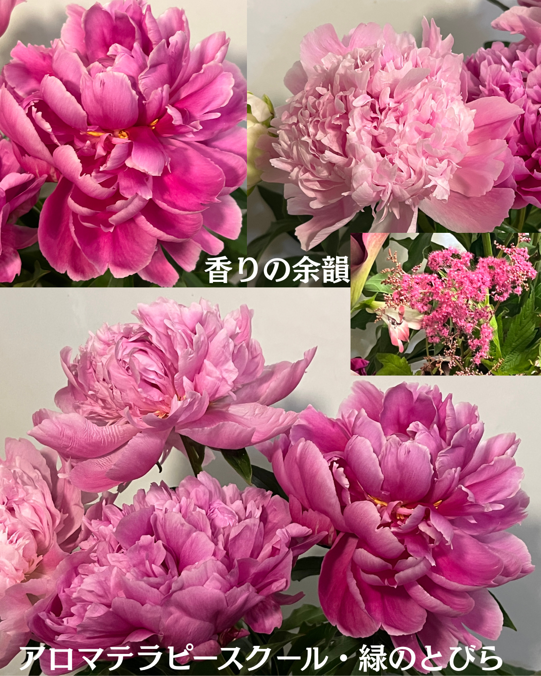 #アロマテラピースクール #緑のとびら #アロマライフコーチング #RosyPath #プランツカウンセリングヒーラー #ローズセラピー #オンラインレッスン #魔法の庭 #愛と癒し #ローズヒーリングセッション #ボタニカルカウンセリング #無償の愛 #薔薇 #バラ #心穏やか #天寿を全う #メディカルハーブ #アロマテラピー #メディカルアロマ #アロマ #愛と癒し #ローズ