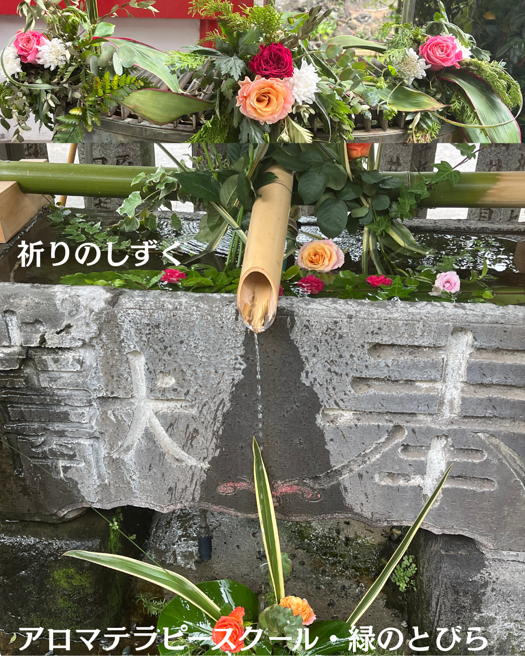 #アロマテラピースクール #緑のとびら #アロマライフコーチング #RosyPath #プランツカウンセリングヒーラー #ローズセラピー #オンラインレッスン #魔法の庭 #愛と癒し #ローズヒーリングセッション #ボタニカルカウンセリング #無償の愛 #薔薇 #バラ #心穏やか #天寿を全う #メディカルハーブ #アロマテラピー #メディカルアロマ #アロマ #愛と癒し #ローズ