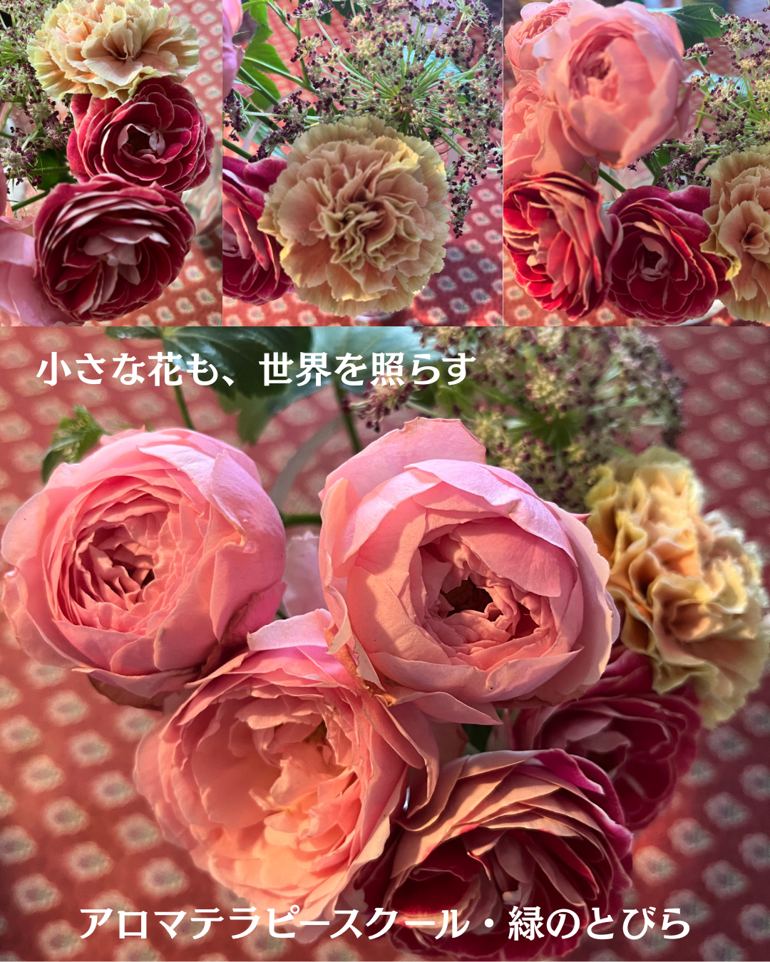 #アロマテラピースクール #緑のとびら #アロマライフコーチング #RosyPath #プランツカウンセリングヒーラー #ローズセラピー #オンラインレッスン #魔法の庭 ＃植物のある暮らし #ローズヒーリングセッション #ボタニカルカウンセリング #無償の愛 #薔薇 #バラ #心穏やか #天寿を全う #メディカルハーブ #アロマテラピー #メディカルアロマ #アロマ #愛と癒し #ローズ #香りのある暮らし #音楽のある暮らし #美しさに囲まれて