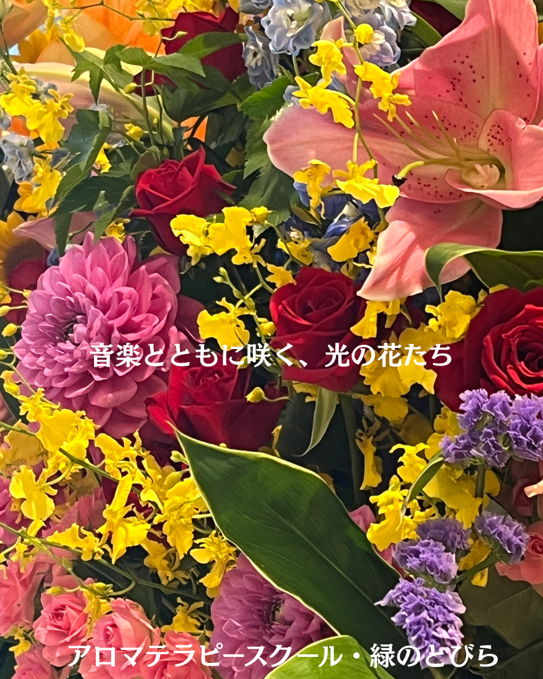 #アロマテラピースクール #緑のとびら #アロマライフコーチング #RosyPath #プランツカウンセリングヒーラー #ローズセラピー #オンラインレッスン #魔法の庭 ＃植物のある暮らし #ローズヒーリングセッション #ボタニカルカウンセリング #無償の愛 #薔薇 #バラ #心穏やか #天寿を全う #メディカルハーブ #アロマテラピー #メディカルアロマ #アロマ #愛と癒し #ローズ #香りのある暮らし #音楽のある暮らし #美しさに囲まれて
