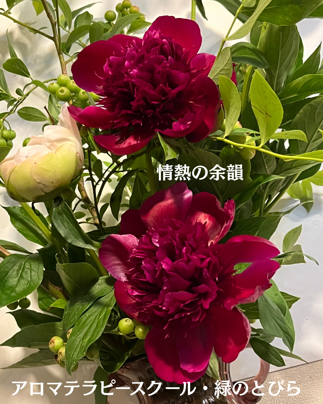 #アロマテラピースクール #緑のとびら #アロマライフコーチング #RosyPath #プランツカウンセリングヒーラー #ローズセラピー #オンラインレッスン #魔法の庭 ＃植物のある暮らし #ローズヒーリングセッション #ボタニカルカウンセリング #無償の愛 #薔薇 #バラ #心穏やか #天寿を全う #メディカルハーブ #アロマテラピー #メディカルアロマ #アロマ #愛と癒し #ローズ #香りのある暮らし #音楽のある暮らし #美しさに囲まれて