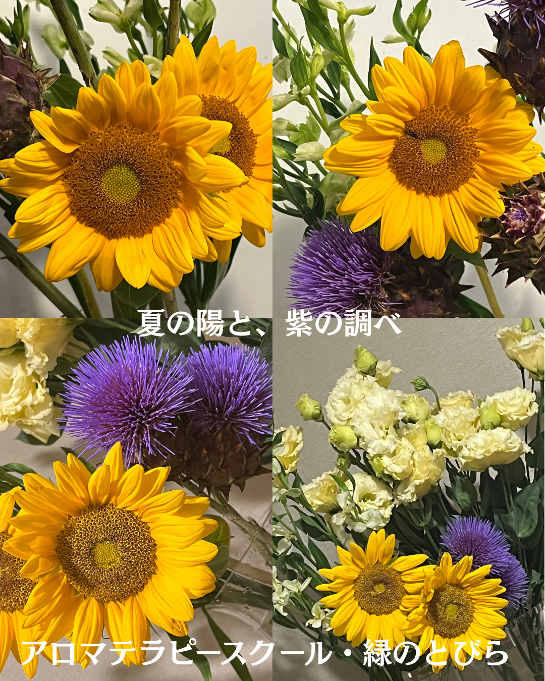 #アロマテラピースクール #緑のとびら #アロマライフコーチング #RosyPath #プランツカウンセリングヒーラー #ローズセラピー #オンラインレッスン #魔法の庭 ＃植物のある暮らし #ローズヒーリングセッション #ボタニカルカウンセリング #無償の愛 #薔薇 #バラ #心穏やか #天寿を全う #メディカルハーブ #アロマテラピー #メディカルアロマ #アロマ #愛と癒し #ローズ #香りのある暮らし #芸術のある暮らし #美しさに囲まれて