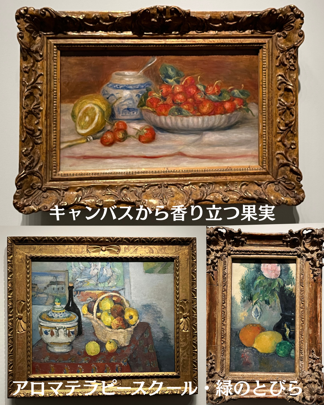 #アロマテラピースクール #緑のとびら #アロマライフコーチング #RosyPath #プランツカウンセリングヒーラー #ローズセラピー #オンラインレッスン #魔法の庭 ＃植物のある暮らし #ローズヒーリングセッション #ボタニカルカウンセリング #無償の愛 #薔薇 #バラ #心穏やか #天寿を全う #メディカルハーブ #アロマテラピー #メディカルアロマ #アロマ #愛と癒し #ローズ #香りのある暮らし #芸術のある暮らし #美しさに囲まれて