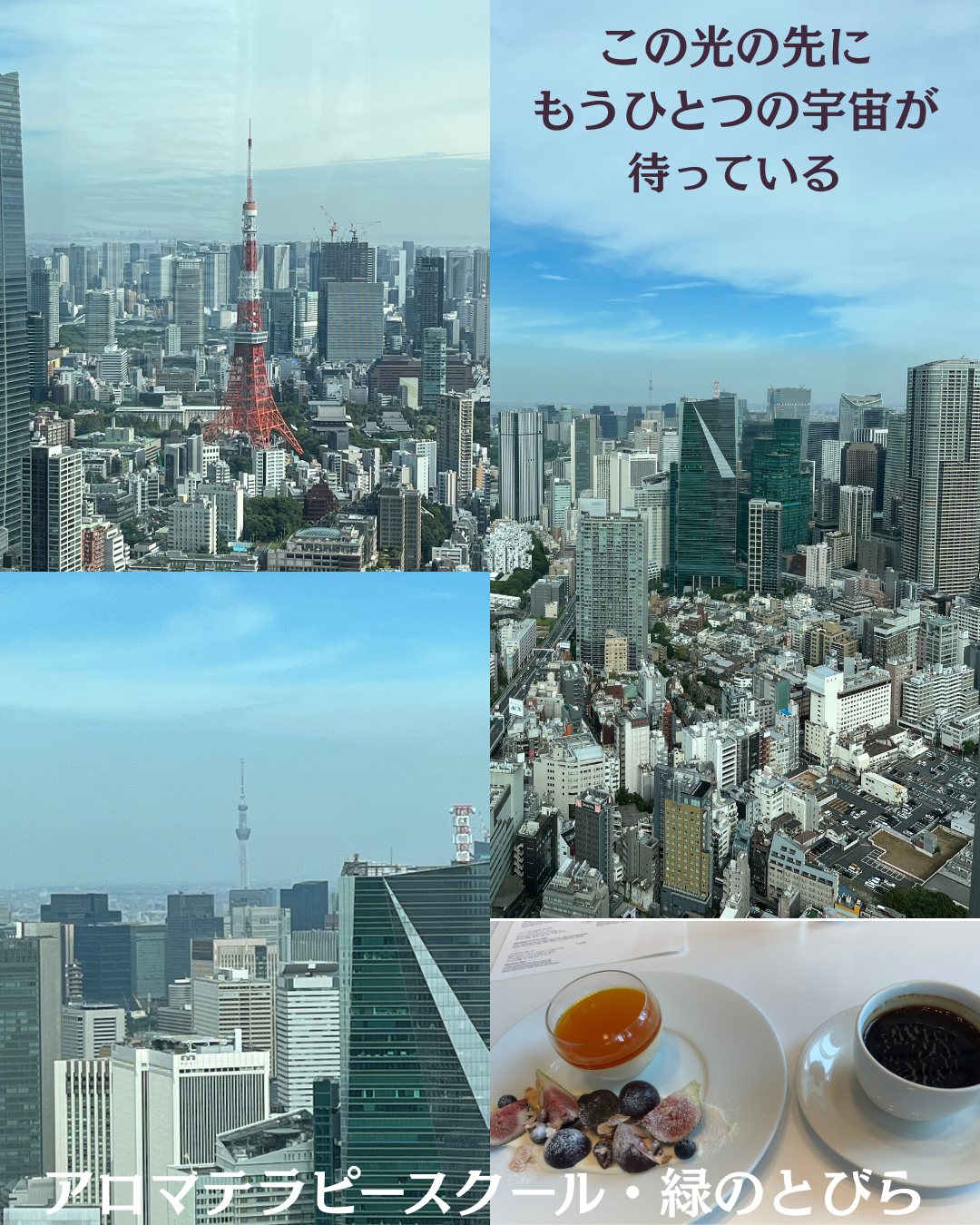#アロマテラピースクール #緑のとびら #アロマライフコーチング #RosyPath #プランツカウンセリングヒーラー #ローズセラピー #オンラインレッスン #魔法の庭 ＃植物のある暮らし #ローズヒーリングセッション #ボタニカルカウンセリング #無償の愛 #薔薇 #バラ #心穏やか #天寿を全う #メディカルハーブ #アロマテラピー #メディカルアロマ #アロマ #愛と癒し #ローズ #香りのある暮らし #芸術のある暮らし #美しさに囲まれて