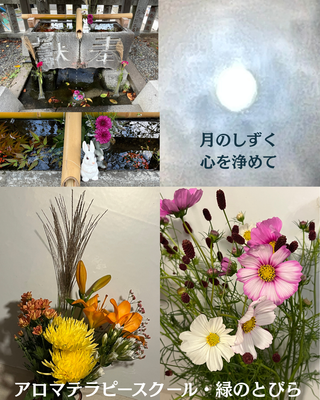 #アロマテラピースクール #緑のとびら #アロマライフコーチング #RosyPath #プランツカウンセリングヒーラー #ローズセラピー #オンラインレッスン #魔法の庭 ＃植物のある暮らし #ローズヒーリングセッション #ボタニカルカウンセリング #無償の愛 #薔薇 #バラ #心穏やか #天寿を全う #メディカルハーブ #アロマテラピー #メディカルアロマ #アロマ #愛と癒し #ローズ #香りのある暮らし #芸術のある暮らし #美しさに囲まれて