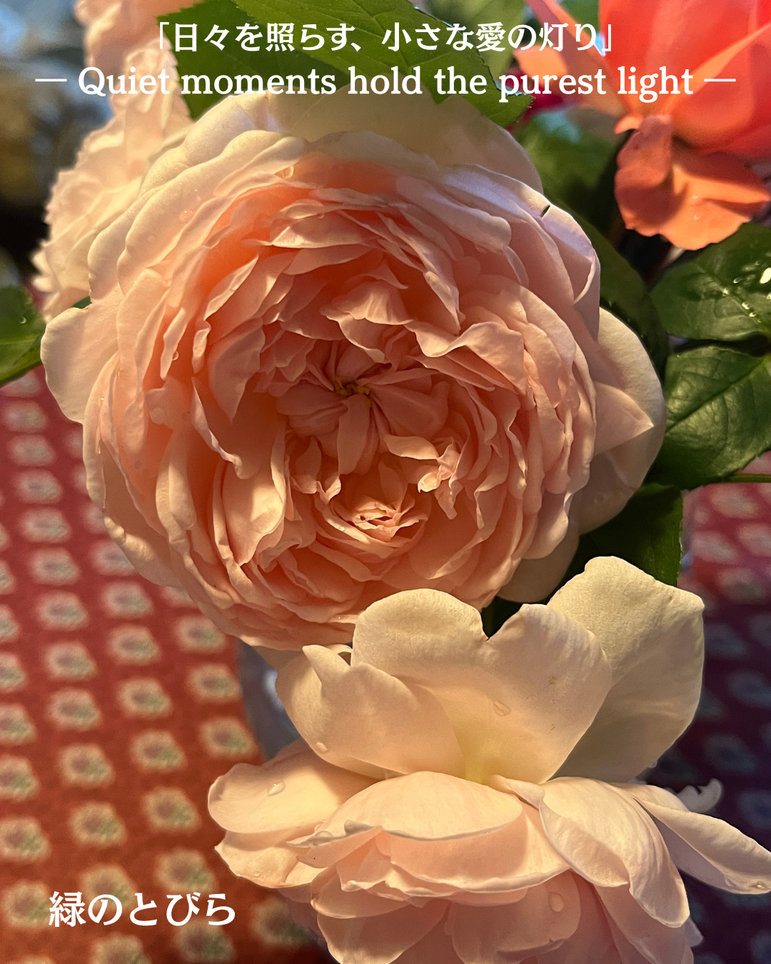 #アロマテラピースクール #緑のとびら #アロマライフコーチング #RosyPath #プランツカウンセリングヒーラー #ローズセラピー #オンラインレッスン #魔法の庭 ＃植物のある暮らし #ローズヒーリングセッション #ボタニカルカウンセリング #無償の愛 #薔薇 #バラ #心穏やか #天寿を全う #メディカルハーブ #アロマテラピー #メディカルアロマ #アロマ #愛と癒し #ローズ #香りのある暮らし #芸術のある暮らし #美しさに囲まれて