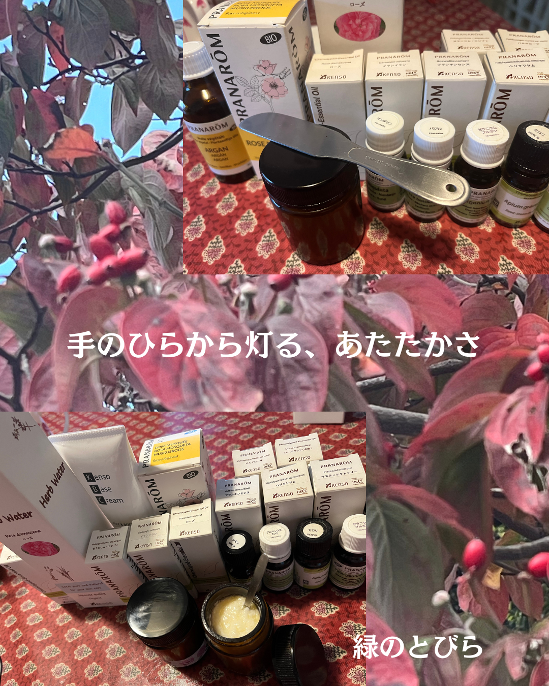 #緑のとびら
#アロマテラピースクール
#アロマライフコーチング
#RosyPath
#プランツカウンセリングヒーラー
#ローズセラピー
#ローズヒーリングセッション
#ボタニカルカウンセリング
#オンラインレッスン
#魔法の庭
#植物のある暮らし
#無農薬薔薇
#薔薇
#メディカルハーブ
#アロマ
#愛と癒し
#心穏やか
#香りのある暮らし
#芸術のある暮らし
#美しさに囲まれて
#リラックス
#癒しの時間
#ハーブ
#ベランダガーデニング
