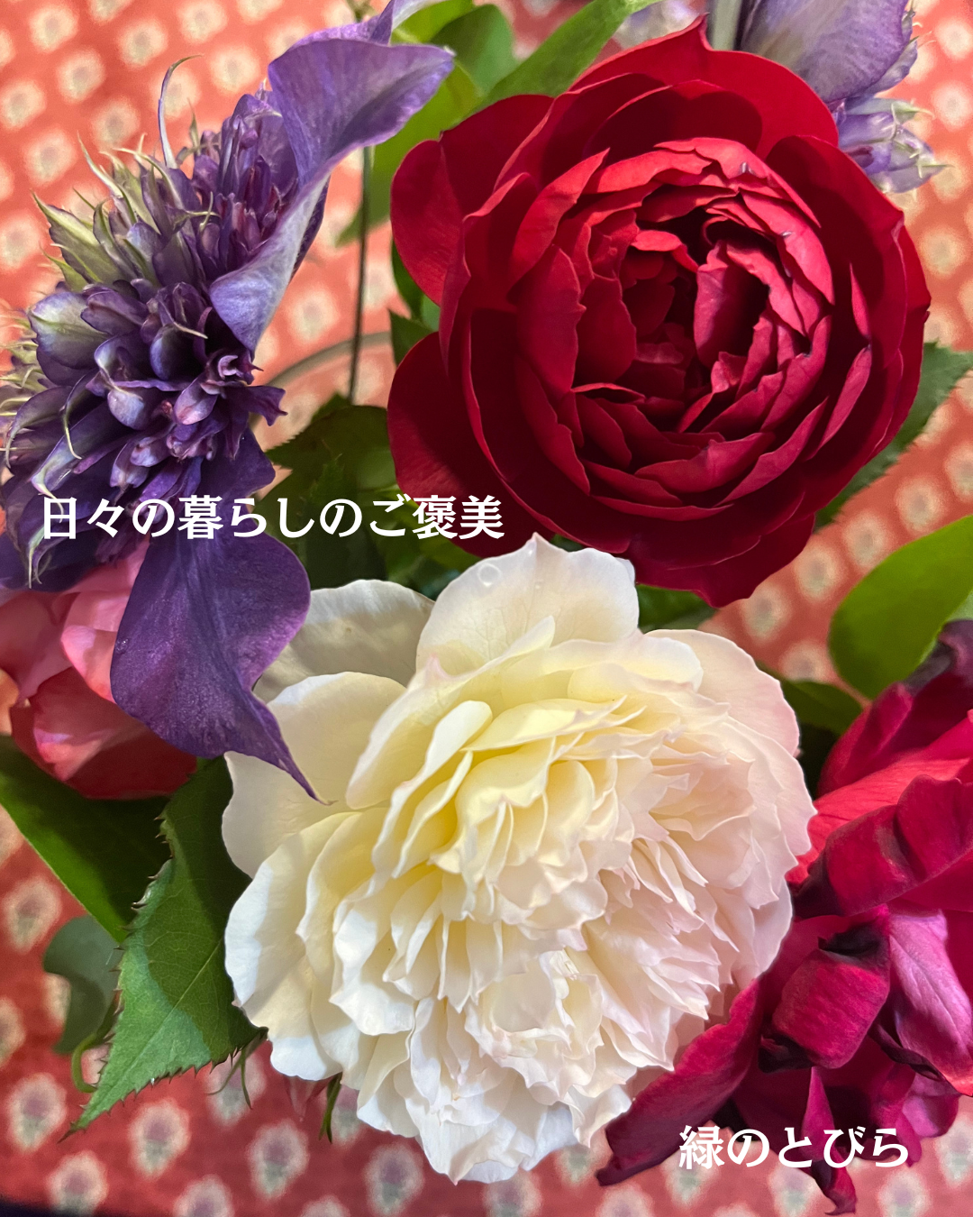 #緑のとびら
#アロマテラピースクール
#アロマライフコーチング
#RosyPath
#プランツカウンセリングヒーラー
#ローズセラピー
#ローズヒーリングセッション
#ボタニカルカウンセリング
#オンラインレッスン
#魔法の庭
#植物のある暮らし
#無農薬薔薇
#薔薇
#メディカルハーブ
#アロマ
#愛と癒し
#心穏やか
#香りのある暮らし
#芸術のある暮らし
#美しさに囲まれて
#リラックス
#癒しの時間
#ハーブ
#ベランダガーデニング
