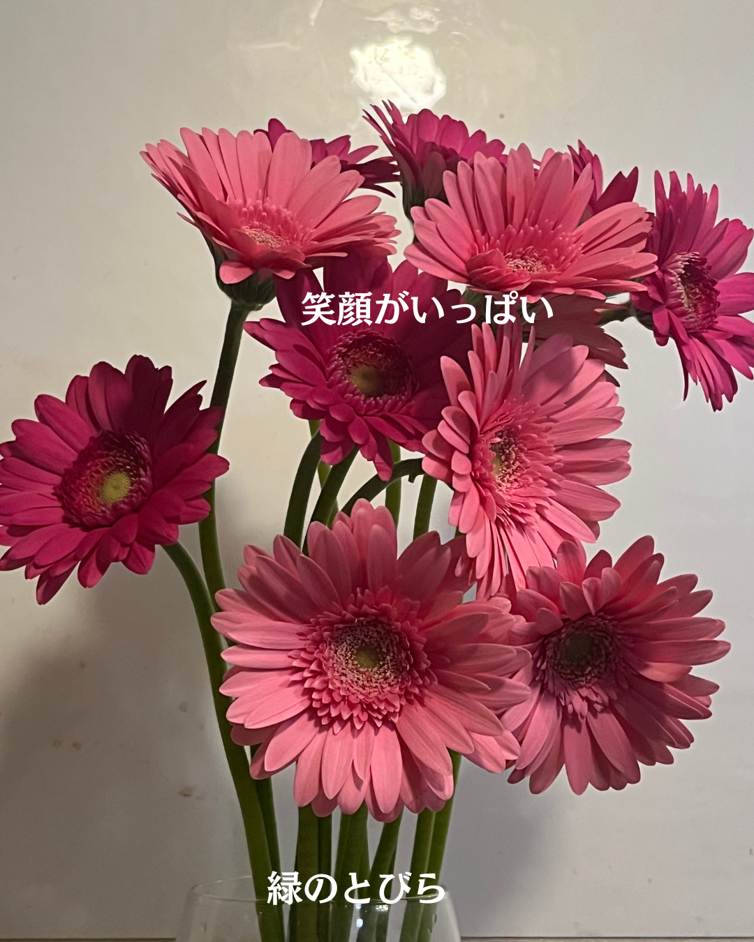 #緑のとびら
#アロマテラピースクール
#アロマライフコーチング
#RosyPath
#プランツカウンセリングヒーラー
#ローズセラピー
#ローズヒーリングセッション
#ボタニカルカウンセリング
#オンラインレッスン
#魔法の庭
#植物のある暮らし
#無農薬薔薇
#薔薇
#メディカルハーブ
#アロマ
#愛と癒し
#心穏やか
#香りのある暮らし
#芸術のある暮らし
#美しさに囲まれて
#リラックス
#癒しの時間
#ハーブ
#ベランダガーデニング
