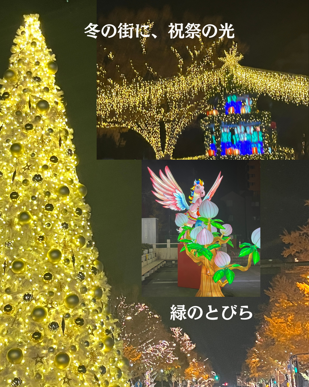 #緑のとびら #アロマテラピースクール #アロマライフコーチング #RosyPath #プランツカウンセリングヒーラー #ローズセラピー #ローズヒーリングセッション #ボタニカルカウンセリング #オンラインレッスン #魔法の庭 #植物のある暮らし #無農薬薔薇 #薔薇 #メディカルハーブ #アロマ #愛と癒し #心穏やか #香りのある暮らし #芸術のある暮らし #美しさに囲まれて #リラックス #癒しの時間 #ハーブ #ベランダガーデニング