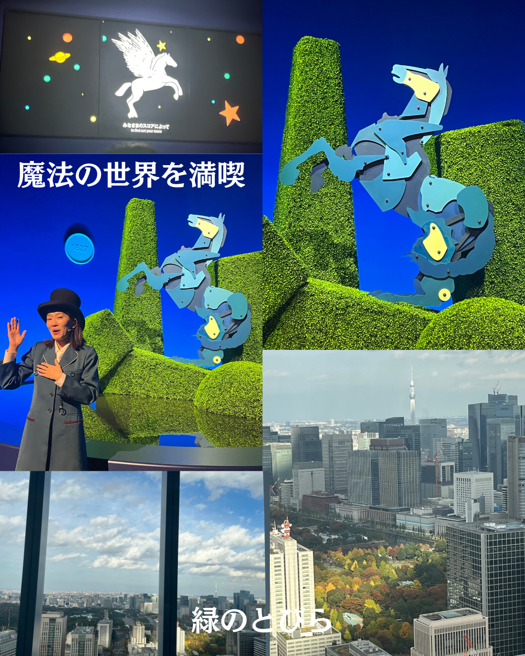 #緑のとびら #アロマテラピースクール #アロマライフコーチング #RosyPath #プランツカウンセリングヒーラー #ローズセラピー #ローズヒーリングセッション #ボタニカルカウンセリング #オンラインレッスン #魔法の庭 #植物のある暮らし #無農薬薔薇 #薔薇 #メディカルハーブ #アロマ #愛と癒し #心穏やか #香りのある暮らし #芸術のある暮らし #美しさに囲まれて #リラックス #癒しの時間 #ハーブ #ベランダガーデニング