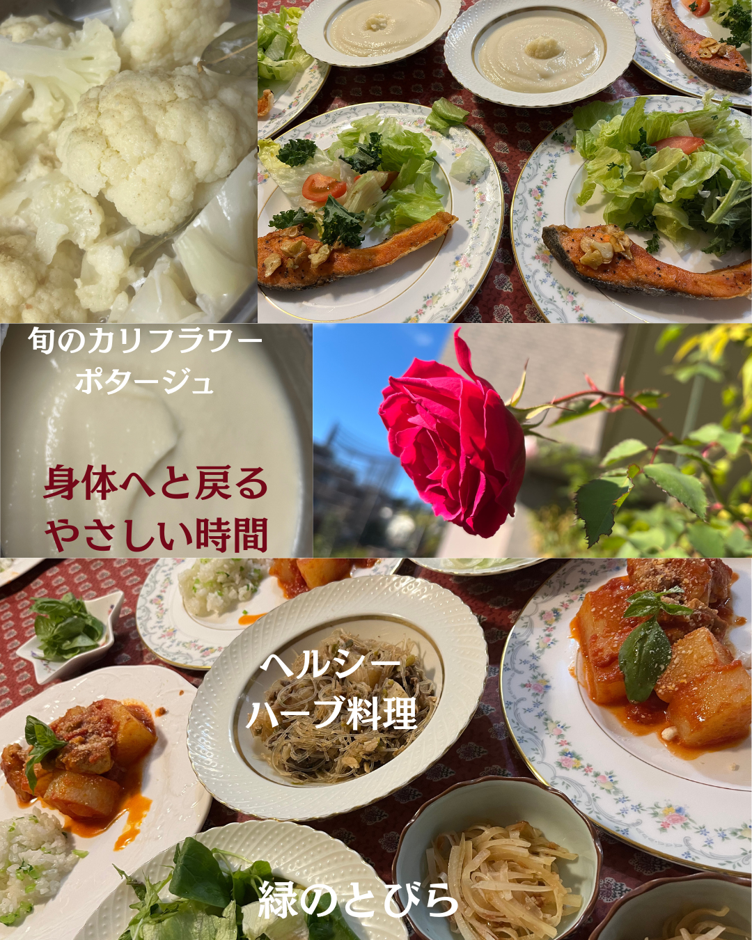 #緑のとびら #アロマテラピースクール #アロマライフコーチング #RosyPath #プランツカウンセリングヒーラー #ローズセラピー #ローズヒーリングセッション #ボタニカルカウンセリング #オンラインレッスン #魔法の庭 #植物のある暮らし #無農薬薔薇 #薔薇 #メディカルハーブ #アロマ #愛と癒し #心穏やか #香りのある暮らし #芸術のある暮らし #美しさに囲まれて #リラックス #癒しの時間 #ハーブ #ベランダガーデニング