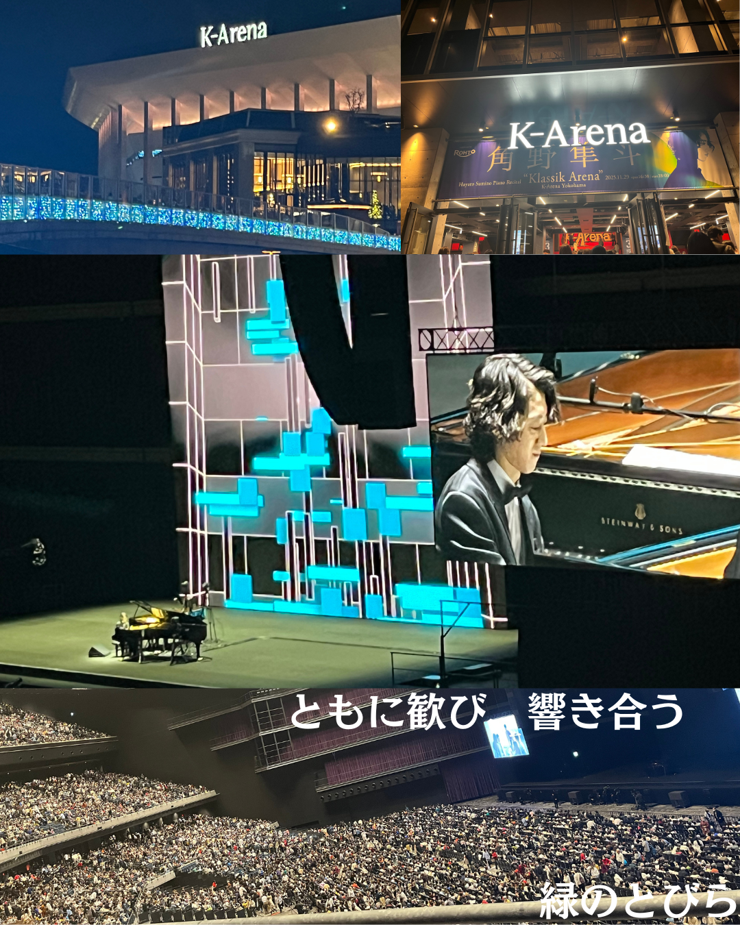 #緑のとびら #アロマテラピースクール #アロマライフコーチング #RosyPath #プランツカウンセリングヒーラー #ローズセラピー #ローズヒーリングセッション #ボタニカルカウンセリング #オンラインレッスン #魔法の庭 #植物のある暮らし #無農薬薔薇 #薔薇 #メディカルハーブ #アロマ #愛と癒し #心穏やか #香りのある暮らし #芸術のある暮らし #美しさに囲まれて #リラックス #癒しの時間 #ハーブ #ベランダガーデニング