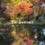 #緑のとびら #アロマテラピースクール #アロマライフコーチング #RosyPath #プランツカウンセリングヒーラー #ローズセラピー #ローズヒーリングセッション #ボタニカルカウンセリング #オンラインレッスン #魔法の庭 #植物のある暮らし #無農薬薔薇 #薔薇 #メディカルハーブ #アロマ #愛と癒し #心穏やか #香りのある暮らし #芸術のある暮らし #美しさに囲まれて #リラックス #癒しの時間 #ハーブ #ベランダガーデニング