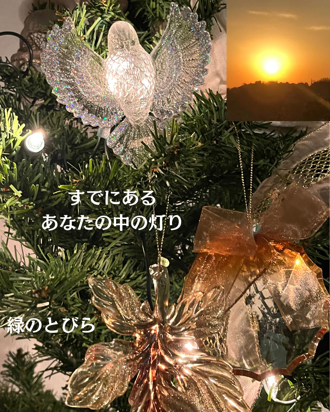 #緑のとびら #アロマテラピースクール #アロマライフコーチング #RosyPath #プランツカウンセリングヒーラー #ローズセラピー #ローズヒーリングセッション #ボタニカルカウンセリング #オンラインレッスン #魔法の庭 #植物のある暮らし #無農薬薔薇 #薔薇 #メディカルハーブ #アロマ #愛と癒し #心穏やか #香りのある暮らし #芸術のある暮らし #美しさに囲まれて #リラックス #癒しの時間 #ハーブ #ベランダガーデニング