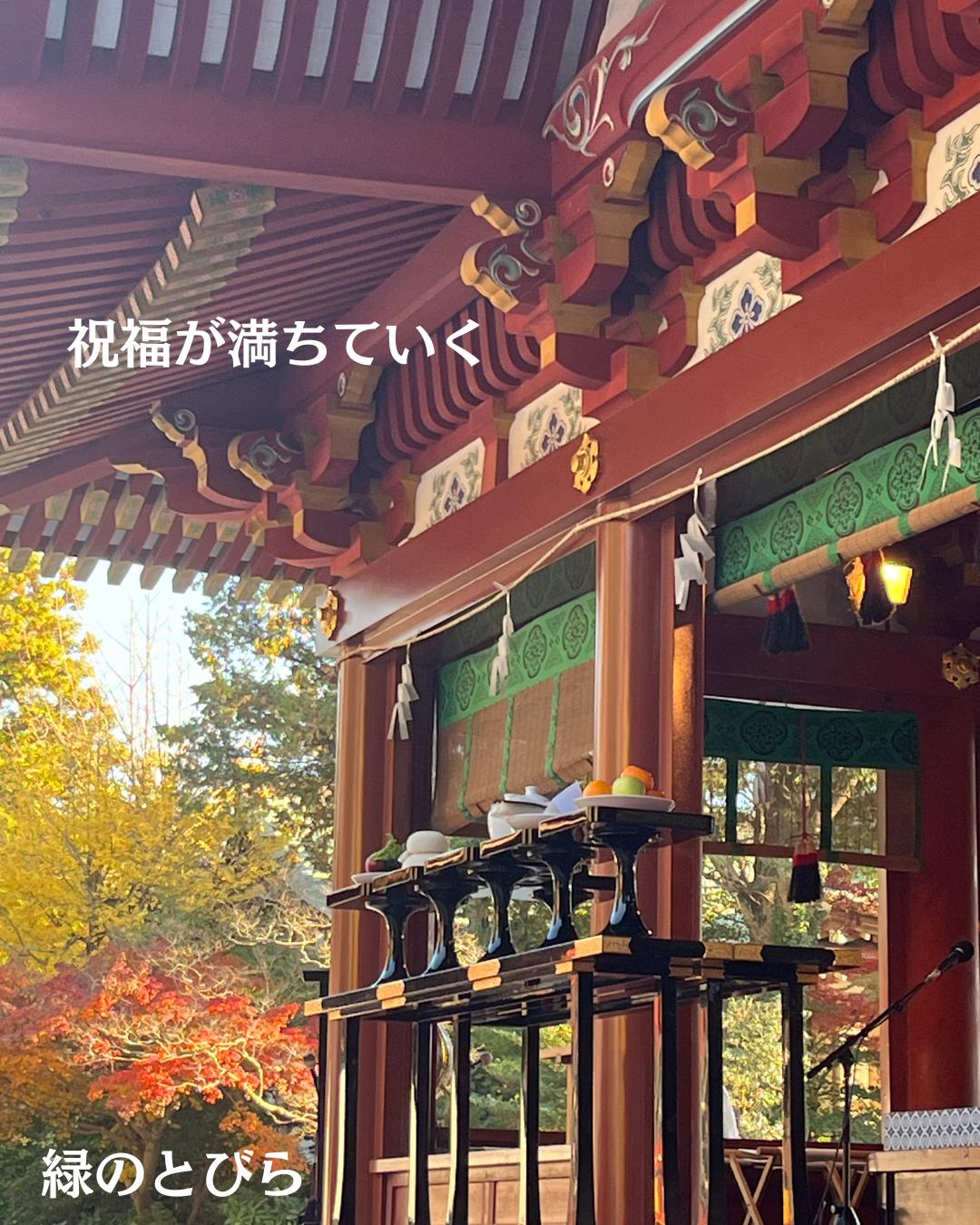 #緑のとびら #アロマテラピースクール #アロマライフコーチング #RosyPath #プランツカウンセリングヒーラー #ローズセラピー #ローズヒーリングセッション #ボタニカルカウンセリング #オンラインレッスン #魔法の庭 #植物のある暮らし #無農薬薔薇 #薔薇 #メディカルハーブ #アロマ #愛と癒し #心穏やか #香りのある暮らし #芸術のある暮らし #美しさに囲まれて #リラックス #癒しの時間 #ハーブ #ベランダガーデニング