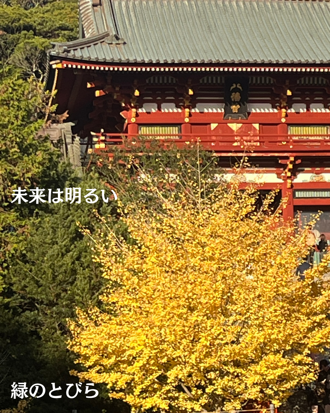 #緑のとびら #アロマテラピースクール #アロマライフコーチング #RosyPath #プランツカウンセリングヒーラー #ローズセラピー #ローズヒーリングセッション #ボタニカルカウンセリング #オンラインレッスン #魔法の庭 #植物のある暮らし #無農薬薔薇 #薔薇 #メディカルハーブ #アロマ #愛と癒し #心穏やか #香りのある暮らし #芸術のある暮らし #美しさに囲まれて #リラックス #癒しの時間 #ハーブ #ベランダガーデニング