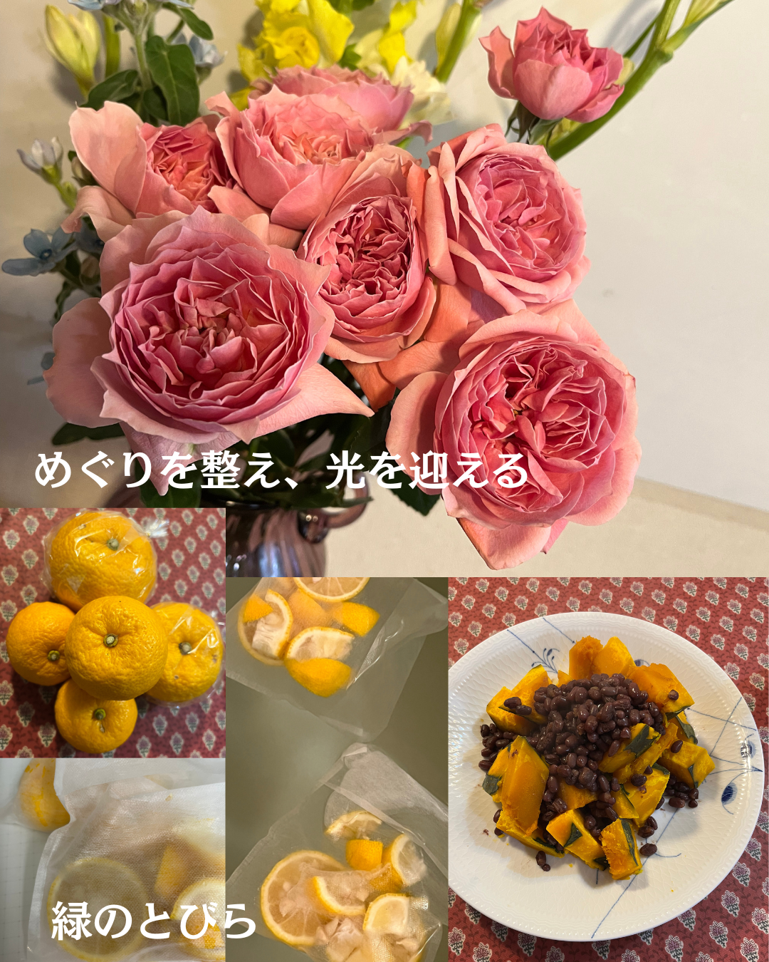 #緑のとびら #アロマテラピースクール #アロマライフコーチング #RosyPath #プランツカウンセリングヒーラー #ローズセラピー #ローズヒーリングセッション #ボタニカルカウンセリング #オンラインレッスン #魔法の庭 #植物のある暮らし #無農薬薔薇 #薔薇 #メディカルハーブ #アロマ #愛と癒し #心穏やか #香りのある暮らし #芸術のある暮らし #美しさに囲まれて #リラックス #癒しの時間 #ハーブ #ベランダガーデニング