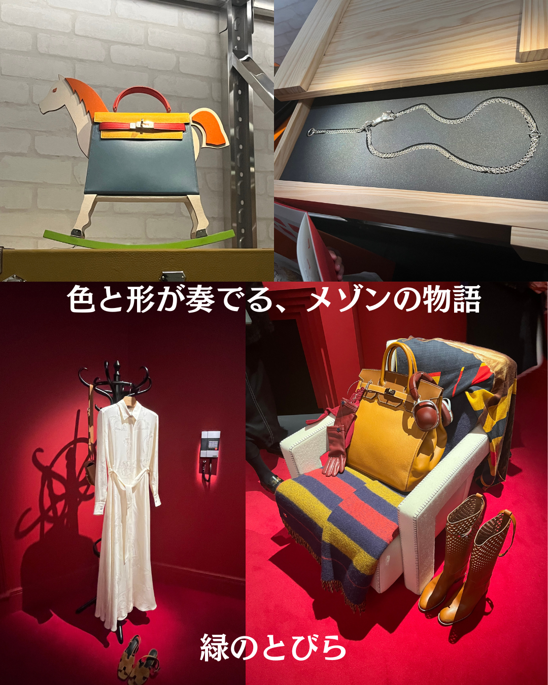 #緑のとびら #アロマテラピースクール #アロマライフコーチング #RosyPath #プランツカウンセリングヒーラー #ローズセラピー #ローズヒーリングセッション #ボタニカルカウンセリング #オンラインレッスン #魔法の庭 #植物のある暮らし #無農薬薔薇 #薔薇 #メディカルハーブ #アロマ #愛と癒し #心穏やか #香りのある暮らし #芸術のある暮らし #美しさに囲まれて #リラックス #癒しの時間 #ハーブ #ベランダガーデニング