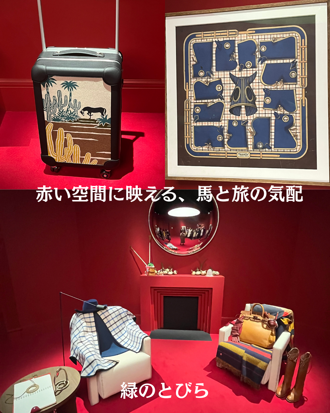 #緑のとびら #アロマテラピースクール #アロマライフコーチング #RosyPath #プランツカウンセリングヒーラー #ローズセラピー #ローズヒーリングセッション #ボタニカルカウンセリング #オンラインレッスン #魔法の庭 #植物のある暮らし #無農薬薔薇 #薔薇 #メディカルハーブ #アロマ #愛と癒し #心穏やか #香りのある暮らし #芸術のある暮らし #美しさに囲まれて #リラックス #癒しの時間 #ハーブ #ベランダガーデニング