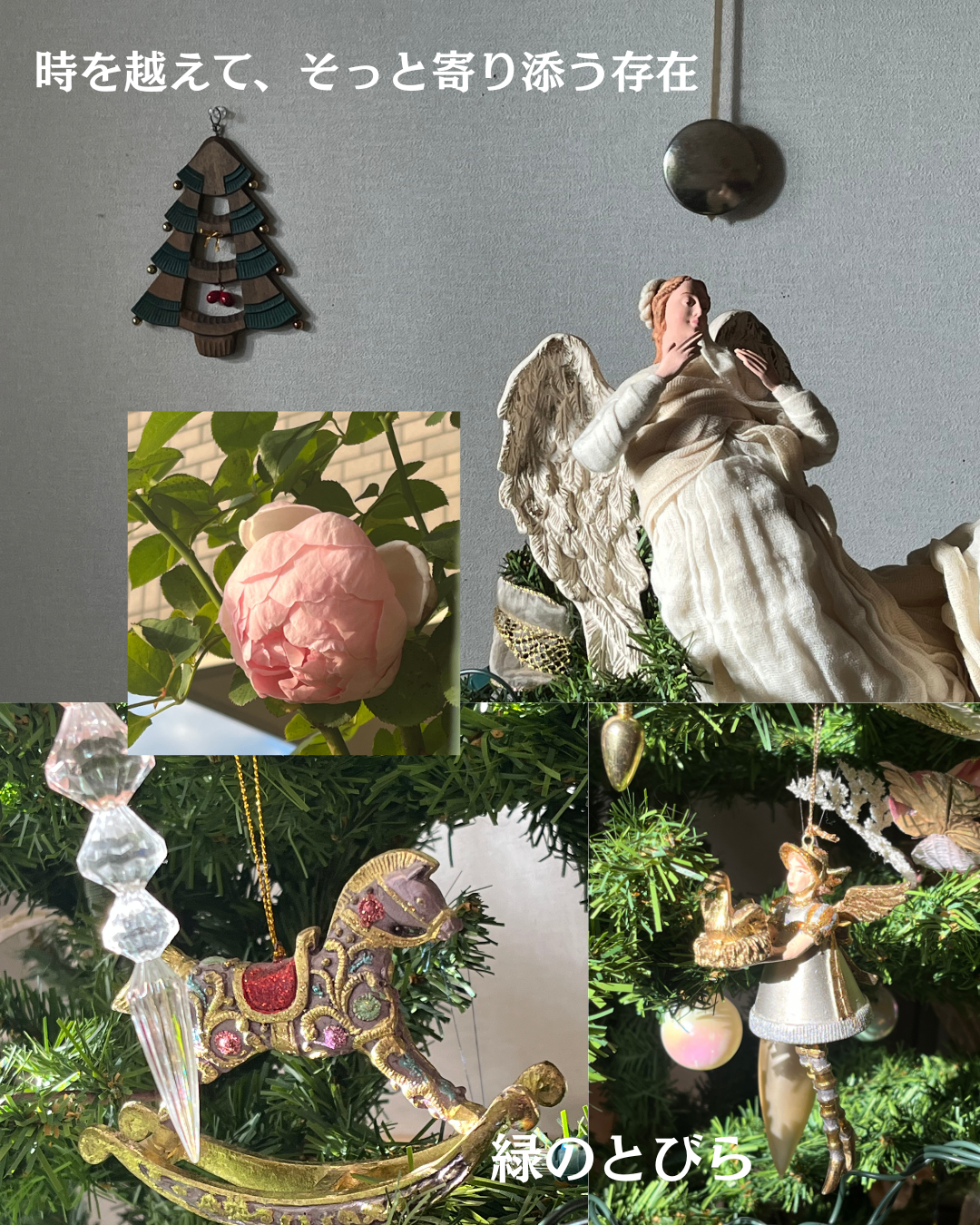 #緑のとびら #アロマテラピースクール #アロマライフコーチング #RosyPath #プランツカウンセリングヒーラー #ローズセラピー #ローズヒーリングセッション #ボタニカルカウンセリング #オンラインレッスン #魔法の庭 #植物のある暮らし #無農薬薔薇 #薔薇 #メディカルハーブ #アロマ #愛と癒し #心穏やか #香りのある暮らし #芸術のある暮らし #美しさに囲まれて #リラックス #癒しの時間 #ハーブ #ベランダガーデニング