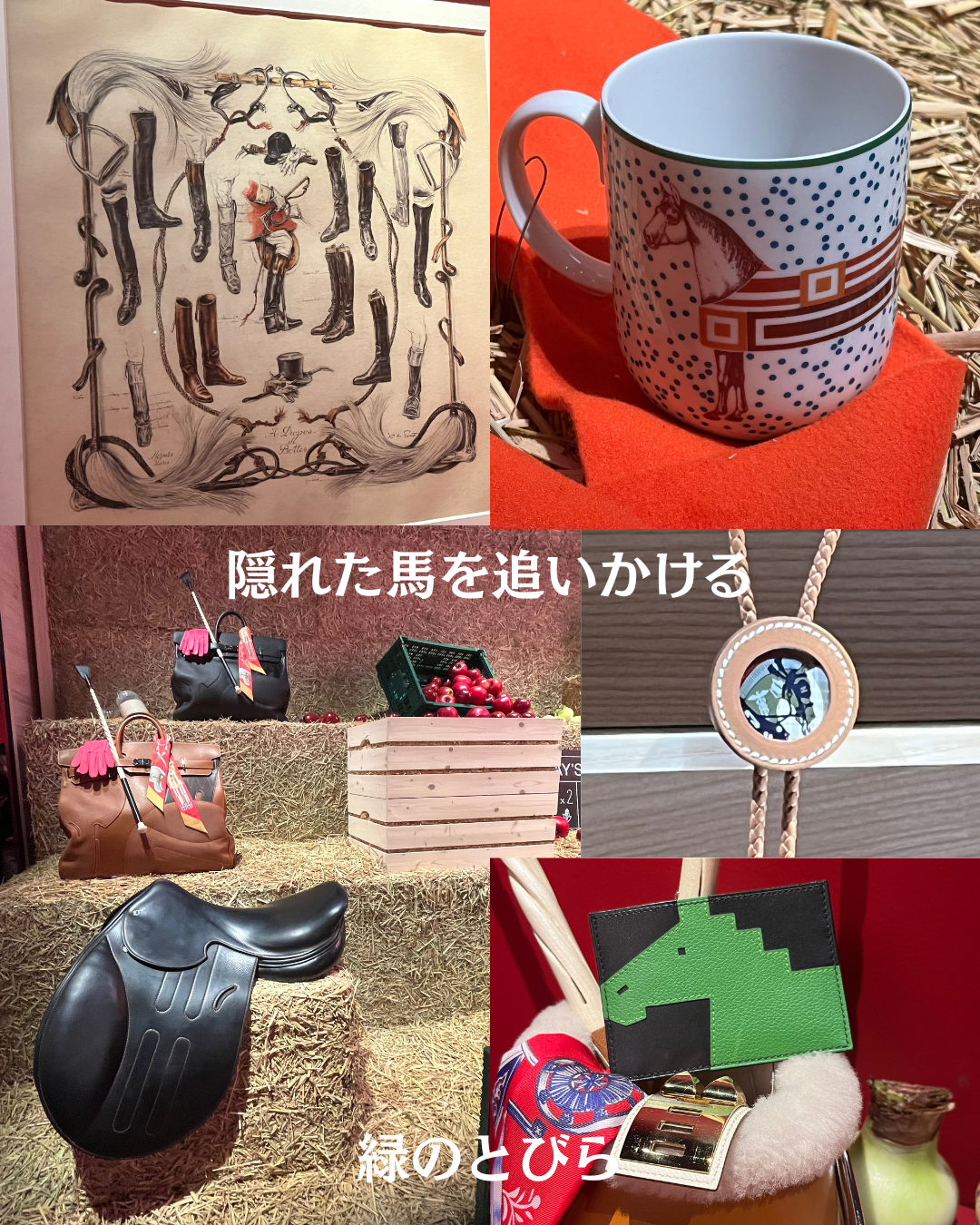 #緑のとびら #アロマテラピースクール #アロマライフコーチング #RosyPath #プランツカウンセリングヒーラー #ローズセラピー #ローズヒーリングセッション #ボタニカルカウンセリング #オンラインレッスン #魔法の庭 #植物のある暮らし #無農薬薔薇 #薔薇 #メディカルハーブ #アロマ #愛と癒し #心穏やか #香りのある暮らし #芸術のある暮らし #美しさに囲まれて #リラックス #癒しの時間 #ハーブ #ベランダガーデニング