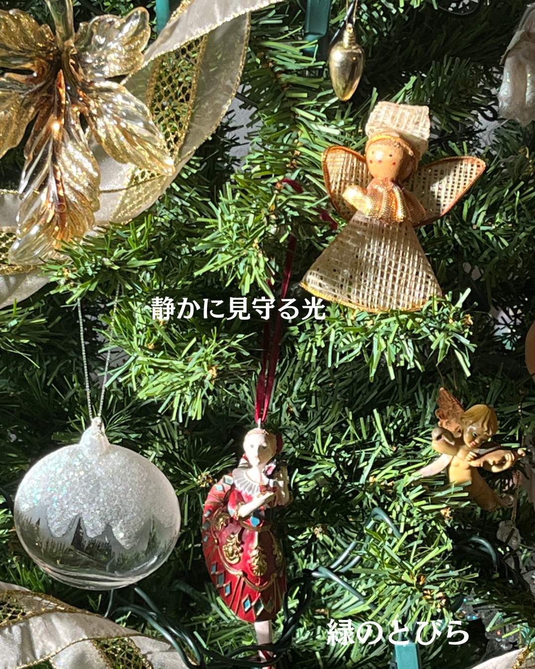 #緑のとびら #アロマテラピースクール #アロマライフコーチング #RosyPath #プランツカウンセリングヒーラー #ローズセラピー #ローズヒーリングセッション #ボタニカルカウンセリング #オンラインレッスン #魔法の庭 #植物のある暮らし #無農薬薔薇 #薔薇 #メディカルハーブ #アロマ #愛と癒し #心穏やか #香りのある暮らし #芸術のある暮らし #美しさに囲まれて #リラックス #癒しの時間 #ハーブ #ベランダガーデニング