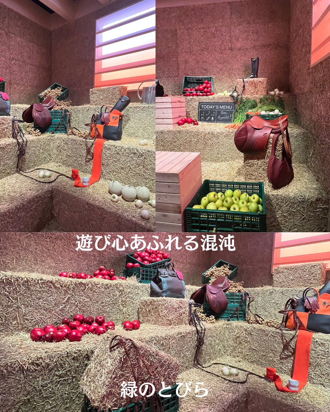 #緑のとびら #アロマテラピースクール #アロマライフコーチング #RosyPath #プランツカウンセリングヒーラー #ローズセラピー #ローズヒーリングセッション #ボタニカルカウンセリング #オンラインレッスン #魔法の庭 #植物のある暮らし #無農薬薔薇 #薔薇 #メディカルハーブ #アロマ #愛と癒し #心穏やか #香りのある暮らし #芸術のある暮らし #美しさに囲まれて #リラックス #癒しの時間 #ハーブ #ベランダガーデニング