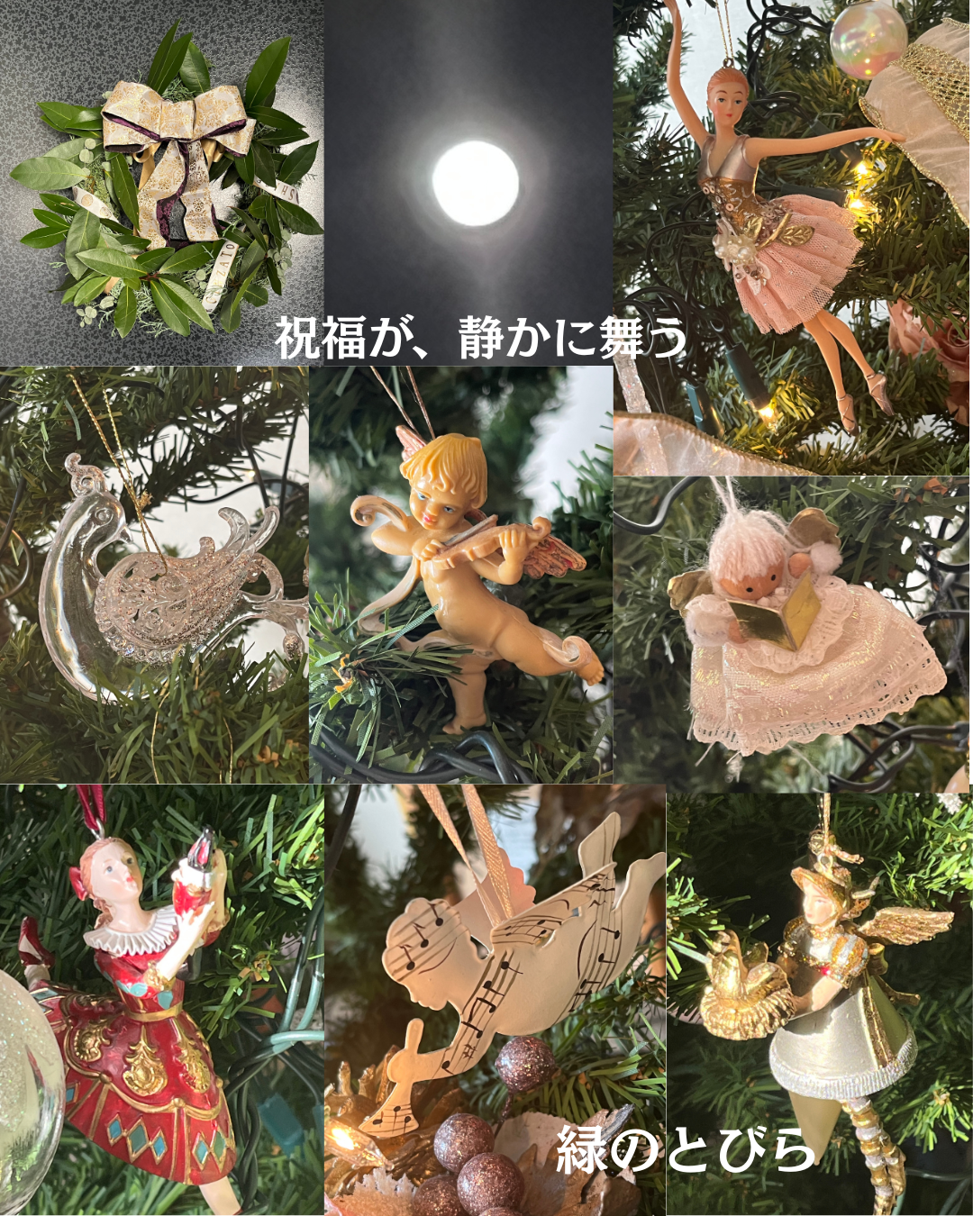 #緑のとびら #アロマテラピースクール #アロマライフコーチング #RosyPath #プランツカウンセリングヒーラー #ローズセラピー #ローズヒーリングセッション #ボタニカルカウンセリング #オンラインレッスン #魔法の庭 #植物のある暮らし #無農薬薔薇 #薔薇 #メディカルハーブ #アロマ #愛と癒し #心穏やか #香りのある暮らし #芸術のある暮らし #美しさに囲まれて #リラックス #癒しの時間 #ハーブ #ベランダガーデニング