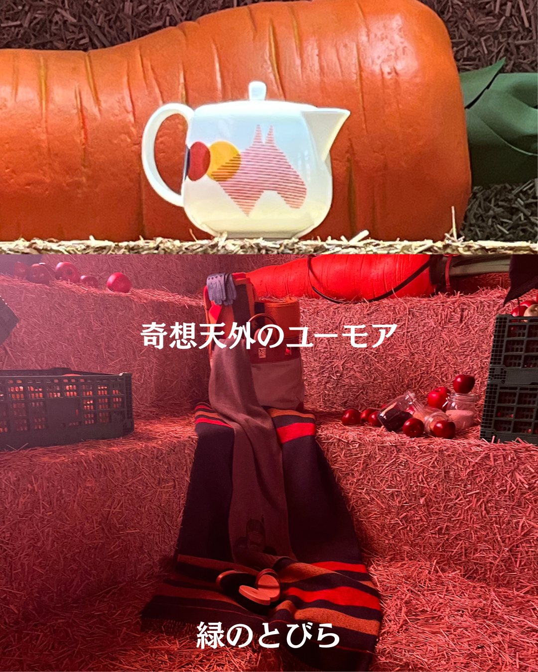 #緑のとびら #アロマテラピースクール #アロマライフコーチング #RosyPath #プランツカウンセリングヒーラー #ローズセラピー #ローズヒーリングセッション #ボタニカルカウンセリング #オンラインレッスン #魔法の庭 #植物のある暮らし #無農薬薔薇 #薔薇 #メディカルハーブ #アロマ #愛と癒し #心穏やか #香りのある暮らし #芸術のある暮らし #美しさに囲まれて #リラックス #癒しの時間 #ハーブ #ベランダガーデニング