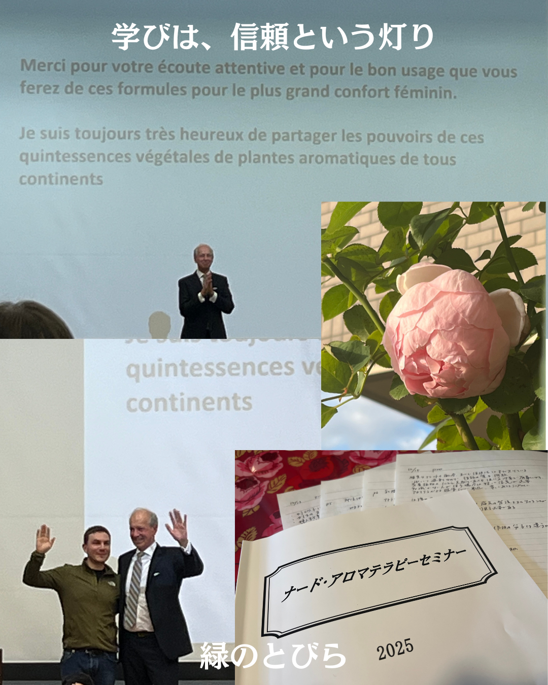 #緑のとびら #アロマテラピースクール #アロマライフコーチング #RosyPath #プランツカウンセリングヒーラー #ローズセラピー #ローズヒーリングセッション #ボタニカルカウンセリング #オンラインレッスン #魔法の庭 #植物のある暮らし #無農薬薔薇 #薔薇 #メディカルハーブ #アロマ #愛と癒し #心穏やか #香りのある暮らし #芸術のある暮らし #美しさに囲まれて #リラックス #癒しの時間 #ハーブ #ベランダガーデニング