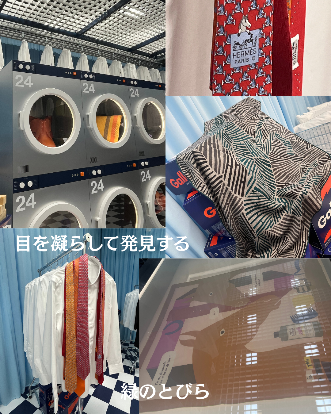 #緑のとびら #アロマテラピースクール #アロマライフコーチング #RosyPath #プランツカウンセリングヒーラー #ローズセラピー #ローズヒーリングセッション #ボタニカルカウンセリング #オンラインレッスン #魔法の庭 #植物のある暮らし #無農薬薔薇 #薔薇 #メディカルハーブ #アロマ #愛と癒し #心穏やか #香りのある暮らし #芸術のある暮らし #美しさに囲まれて #リラックス #癒しの時間 #ハーブ #ベランダガーデニング