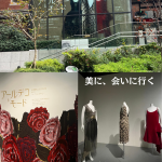 #緑のとびら #アロマテラピースクール #アロマライフコーチング #RosyPath #プランツカウンセリングヒーラー #ローズセラピー #ローズヒーリングセッション #ボタニカルカウンセリング #オンラインレッスン #魔法の庭 #植物のある暮らし #無農薬薔薇 #薔薇 #メディカルハーブ #アロマ #愛と癒し #心穏やか #香りのある暮らし #芸術のある暮らし #美しさに囲まれて #リラックス #癒しの時間 #ハーブ #ベランダガーデニング