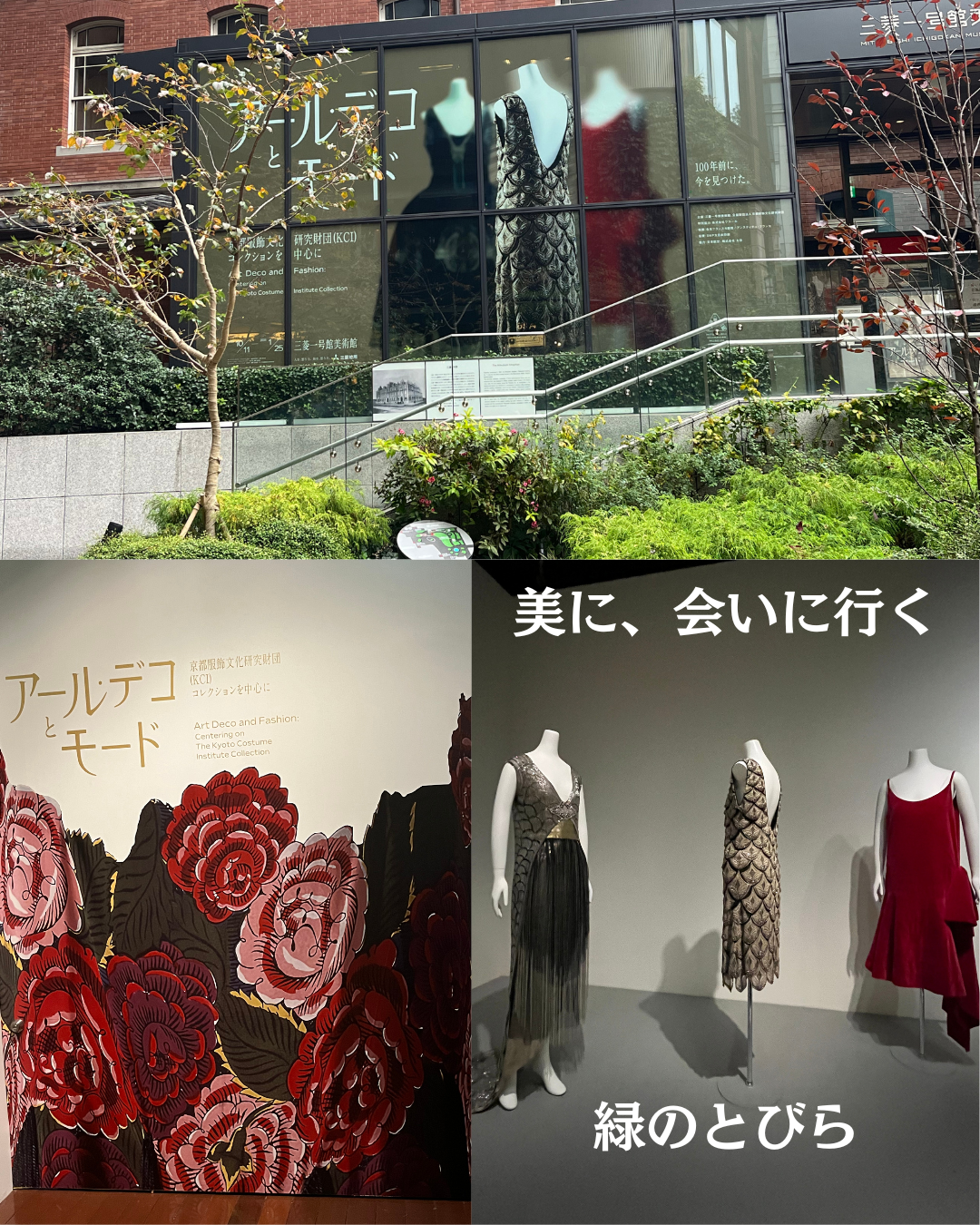 #緑のとびら #アロマテラピースクール #アロマライフコーチング #RosyPath #プランツカウンセリングヒーラー #ローズセラピー #ローズヒーリングセッション #ボタニカルカウンセリング #オンラインレッスン #魔法の庭 #植物のある暮らし #無農薬薔薇 #薔薇 #メディカルハーブ #アロマ #愛と癒し #心穏やか #香りのある暮らし #芸術のある暮らし #美しさに囲まれて #リラックス #癒しの時間 #ハーブ #ベランダガーデニング