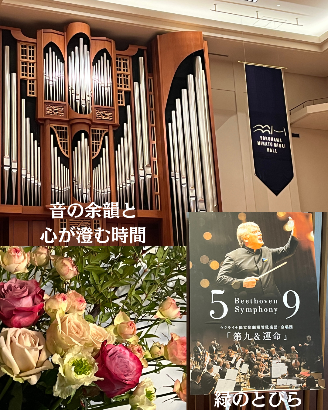 #緑のとびら #アロマテラピースクール #アロマライフコーチング #RosyPath #プランツカウンセリングヒーラー #ローズセラピー #ローズヒーリングセッション #ボタニカルカウンセリング #オンラインレッスン #魔法の庭 #植物のある暮らし #無農薬薔薇 #薔薇 #メディカルハーブ #アロマ #愛と癒し #心穏やか #香りのある暮らし #芸術のある暮らし #美しさに囲まれて #リラックス #癒しの時間 #ハーブ #ベランダガーデニング