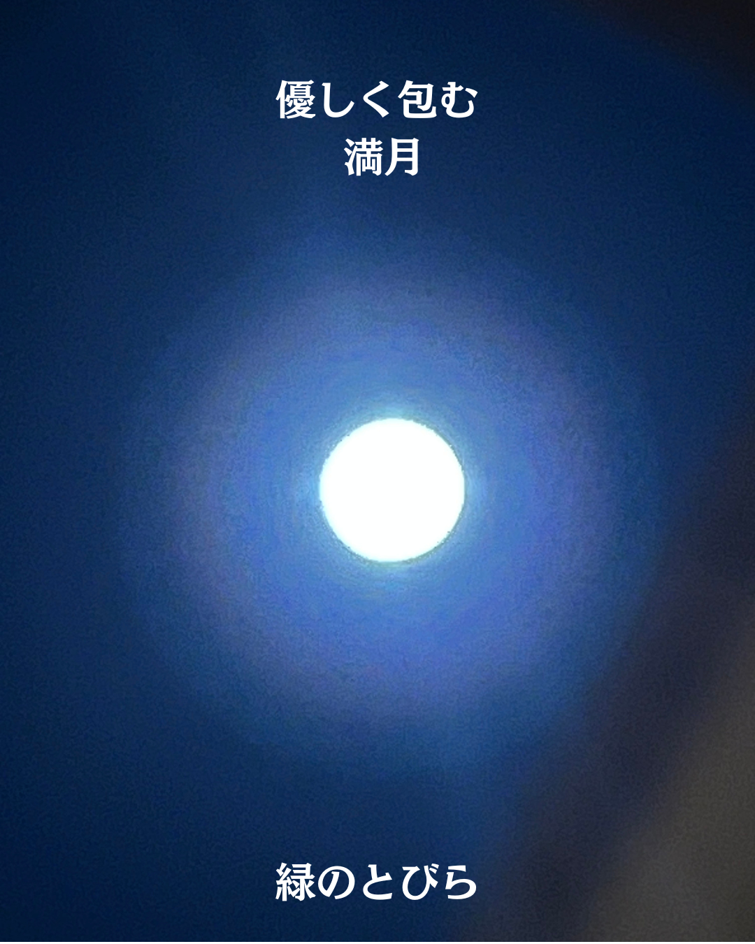 #緑のとびら #アロマテラピースクール #アロマライフコーチング #RosyPath #プランツカウンセリングヒーラー #ローズセラピー #ローズヒーリングセッション #ボタニカルカウンセリング #オンラインレッスン #魔法の庭 #植物のある暮らし #無農薬薔薇 #薔薇 #メディカルハーブ #アロマ #愛と癒し #心穏やか #香りのある暮らし #芸術のある暮らし #美しさに囲まれて #リラックス #癒しの時間 #ハーブ #ベランダガーデニング