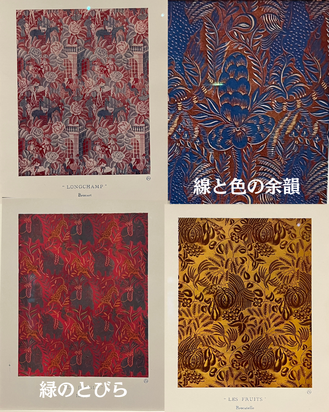 #緑のとびら #アロマテラピースクール #アロマライフコーチング #RosyPath #プランツカウンセリングヒーラー #ローズセラピー #ローズヒーリングセッション #ボタニカルカウンセリング #オンラインレッスン #魔法の庭 #植物のある暮らし #無農薬薔薇 #薔薇 #メディカルハーブ #アロマ #愛と癒し #心穏やか #香りのある暮らし #芸術のある暮らし #美しさに囲まれて #リラックス #癒しの時間 #ハーブ #ベランダガーデニング