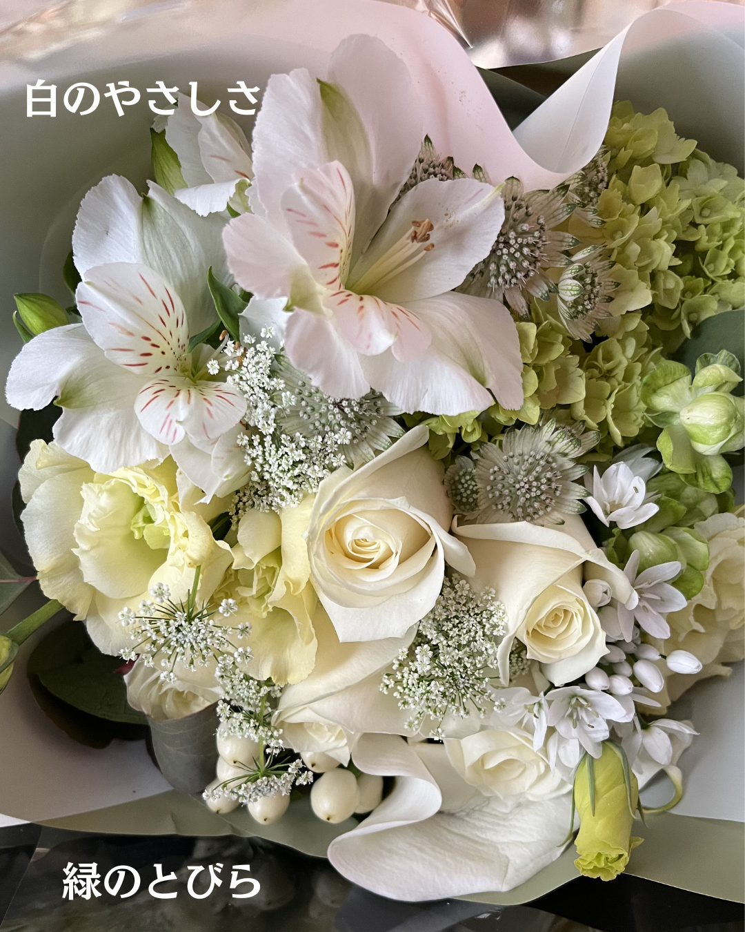 #緑のとびら #アロマテラピースクール #アロマライフコーチング #RosyPath #プランツカウンセリングヒーラー #ローズセラピー #ローズヒーリングセッション #ボタニカルカウンセリング #オンラインレッスン #魔法の庭 #植物のある暮らし #無農薬薔薇 #薔薇 #メディカルハーブ #アロマ #愛と癒し #心穏やか #香りのある暮らし #芸術のある暮らし #美しさに囲まれて #リラックス #癒しの時間 #ハーブ #ベランダガーデニング