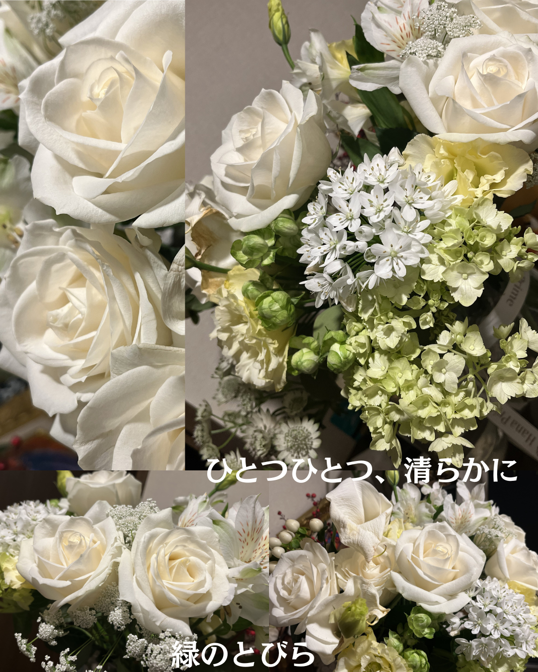 #緑のとびら #アロマテラピースクール #アロマライフコーチング #RosyPath #プランツカウンセリングヒーラー #ローズセラピー #ローズヒーリングセッション #ボタニカルカウンセリング #オンラインレッスン #魔法の庭 #植物のある暮らし #無農薬薔薇 #薔薇 #メディカルハーブ #アロマ #愛と癒し #心穏やか #香りのある暮らし #芸術のある暮らし #美しさに囲まれて #リラックス #癒しの時間 #ハーブ #ベランダガーデニング