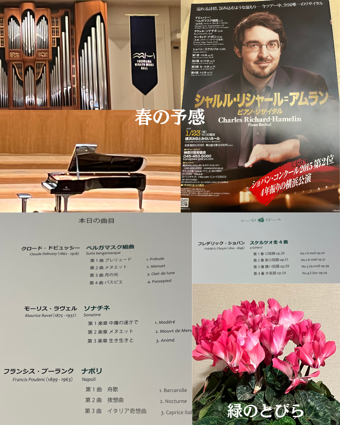 #緑のとびら #アロマテラピースクール #アロマライフコーチング #RosyPath #プランツカウンセリングヒーラー #ローズセラピー #ローズヒーリングセッション #ボタニカルカウンセリング #オンラインレッスン #魔法の庭 #植物のある暮らし #無農薬薔薇 #薔薇 #メディカルハーブ #アロマ #愛と癒し #心穏やか #香りのある暮らし #芸術のある暮らし #美しさに囲まれて #リラックス #癒しの時間 #ハーブ #ベランダガーデニング