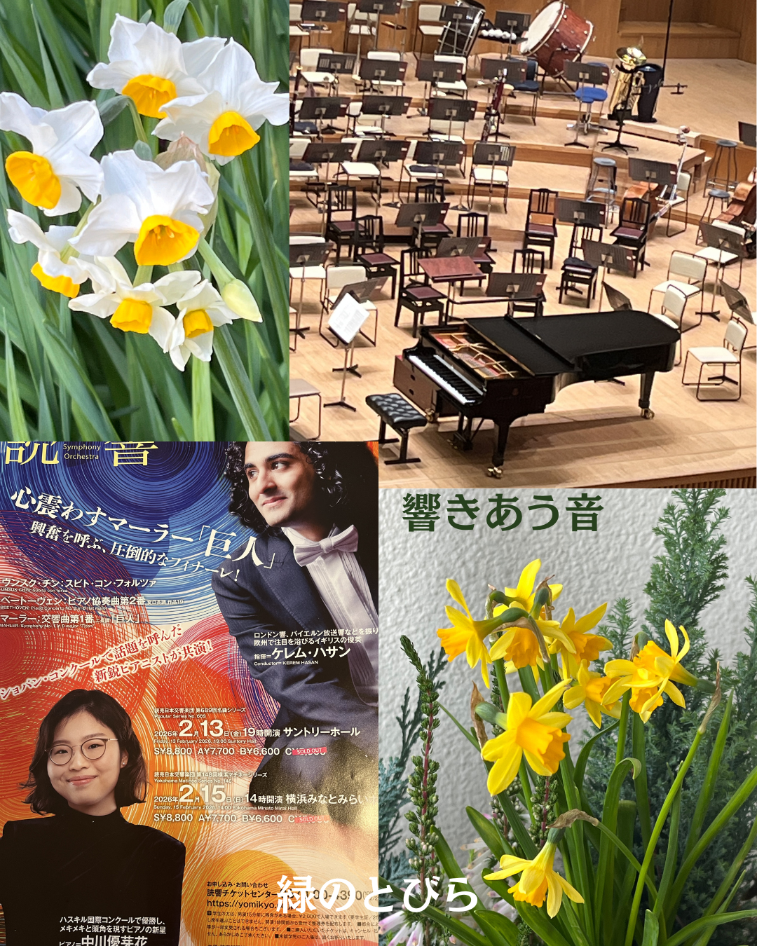 #緑のとびら #アロマテラピースクール #アロマライフコーチング #RosyPath #プランツカウンセリングヒーラー #ローズセラピー #ローズヒーリングセッション #ボタニカルカウンセリング #オンラインレッスン #魔法の庭 #植物のある暮らし #無農薬薔薇 #薔薇 #メディカルハーブ #アロマ #愛と癒し #心穏やか #香りのある暮らし #芸術のある暮らし #美しさに囲まれて #リラックス #癒しの時間 #ハーブ #ベランダガーデニング