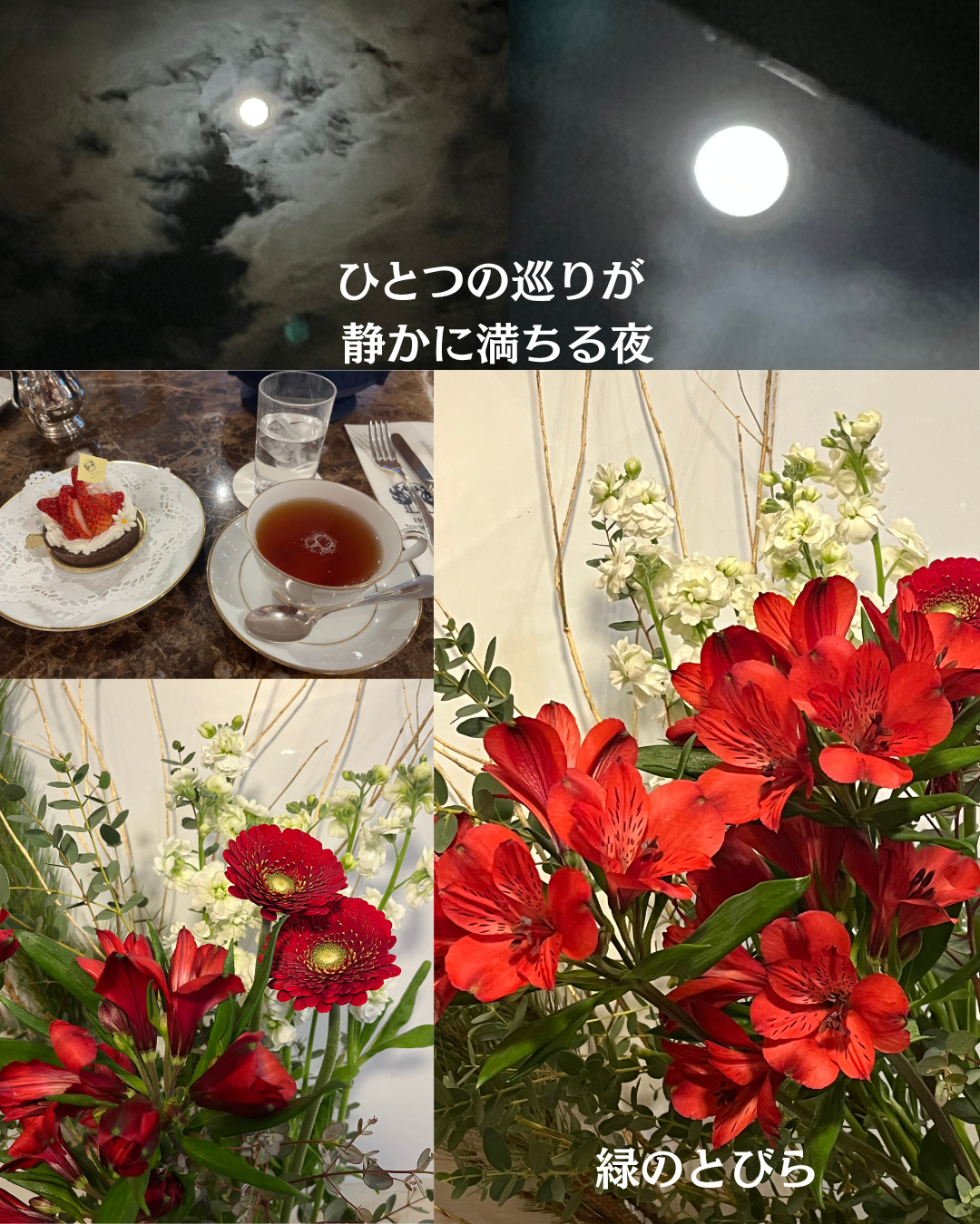 #緑のとびら #アロマテラピースクール #アロマライフコーチング #RosyPath #プランツカウンセリングヒーラー #ローズセラピー #ローズヒーリングセッション #ボタニカルカウンセリング #オンラインレッスン #魔法の庭 #植物のある暮らし #無農薬薔薇 #薔薇 #メディカルハーブ #アロマ #愛と癒し #心穏やか #香りのある暮らし #芸術のある暮らし #美しさに囲まれて #リラックス #癒しの時間 #ハーブ #ベランダガーデニング