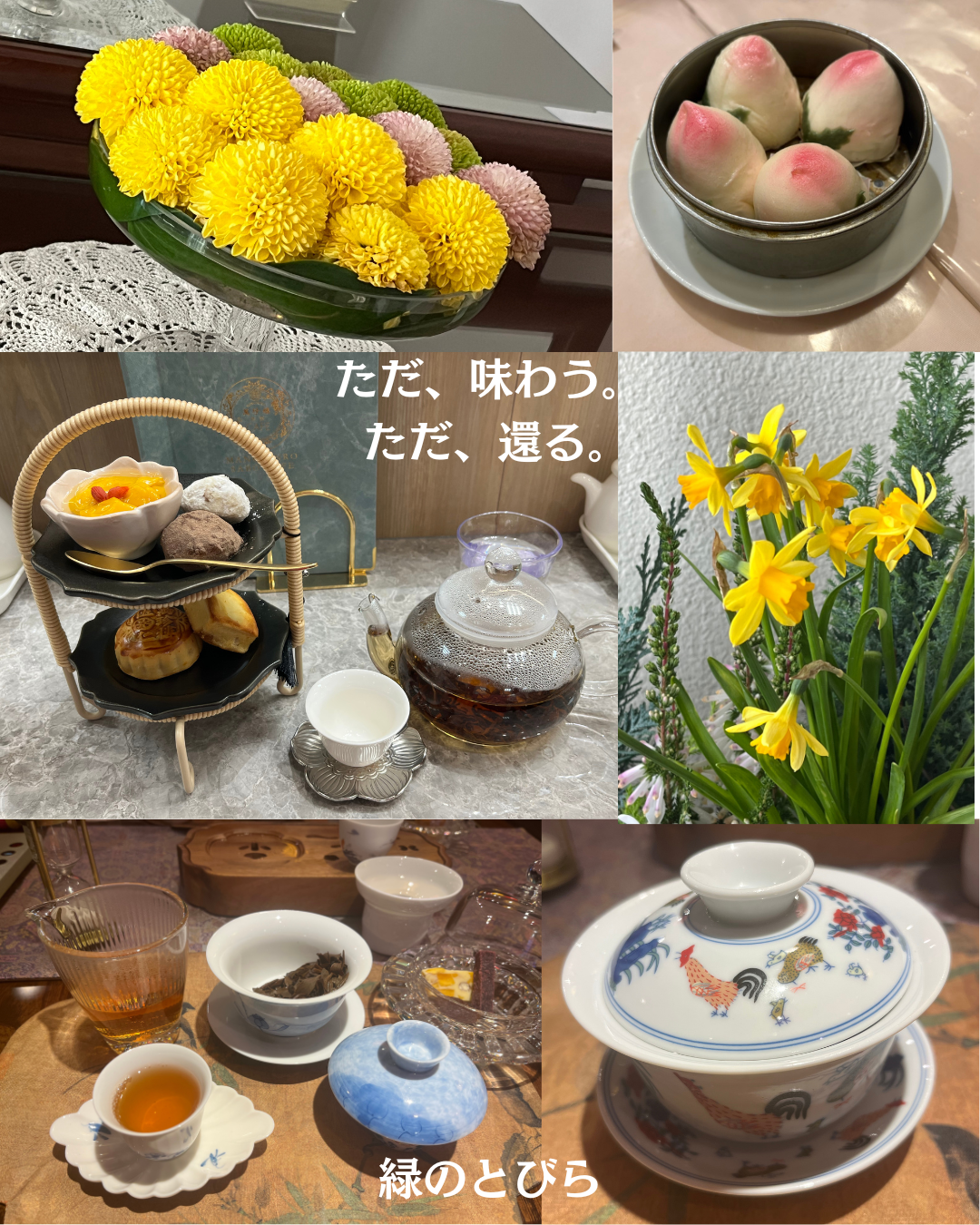 #緑のとびら #アロマテラピースクール #アロマライフコーチング #RosyPath #プランツカウンセリングヒーラー #ローズセラピー #ローズヒーリングセッション #ボタニカルカウンセリング #オンラインレッスン #魔法の庭 #植物のある暮らし #無農薬薔薇 #薔薇 #メディカルハーブ #アロマ #愛と癒し #心穏やか #香りのある暮らし #芸術のある暮らし #美しさに囲まれて #リラックス #癒しの時間 #ハーブ #ベランダガーデニング